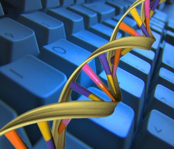 DNA 